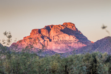 Naklejka premium Arizona desert landscape