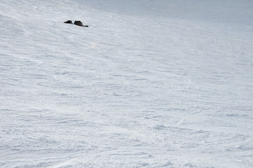 Bariloche - Argentina 