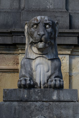 Fototapeta na wymiar Statue of lion