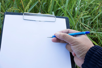 Hand holding a pen and clipboard with blank paper (document, report) checking rice growth