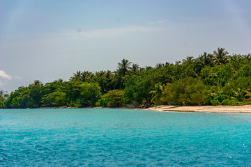 Fototapeta premium Stunning tropical beach with white sand in the Maldives. a great place to dive into meditation and Nirvana