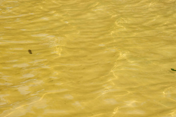 Waves and glare on the surface of the water. Shallow. Lake. Background