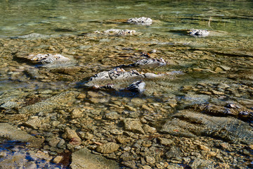 The mountain river quickly flows through stone rapids along woodlands and rocks. Close-up. Water...