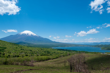 Fototapeta na wymiar パノラマ台付近から見る「春の山中湖と富士山」