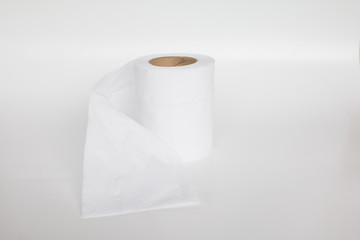 Paper towel roll