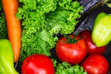 Fresh, clean vegetables for cooking salad. Right and healthy food. Diet
