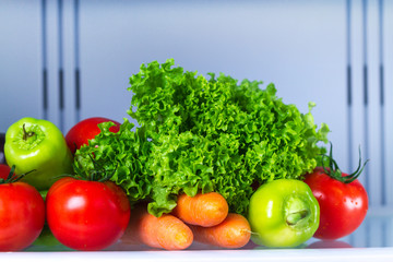 Opened refrigerator full of fresh vegetables for cooking salad. Healthy and right food