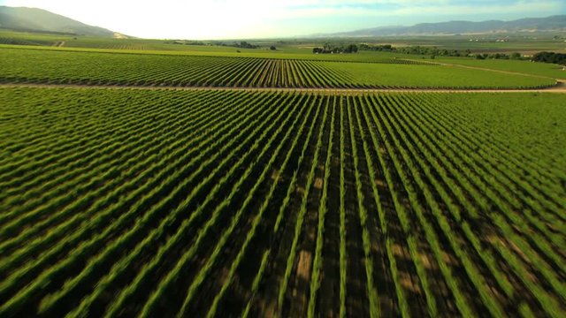 Aerial California USA arable farmland crops agricultural Landscape