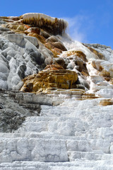 Fototapeta na wymiar Natural Geyser in Yellowstone National Park