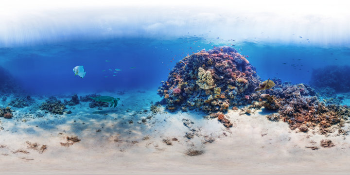 Ras El Desha, Red Sea, Qesm Hurghada, Egypt
