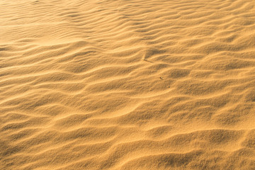 ripples in the sand
