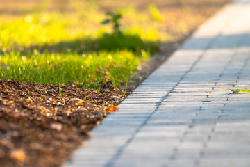 Gehweg, Bürgersteig, Pflaster, Natur, Rasen, grün