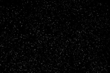 Isolated natural white snow texture effect on black night background. Winter snowflakes.