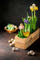 Spring flowers and quail eggs