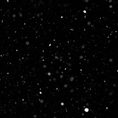 Isolated natural white snow texture effect on black night background. Winter snowflakes.