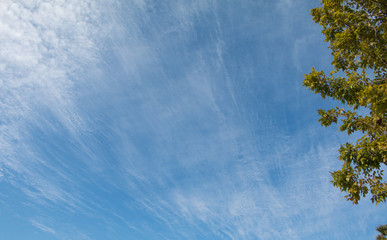 Blue sky background