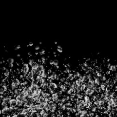Isolated white water bubbles on black background. Rain water drops. Underwater oxygen.