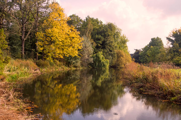 autumn in the park