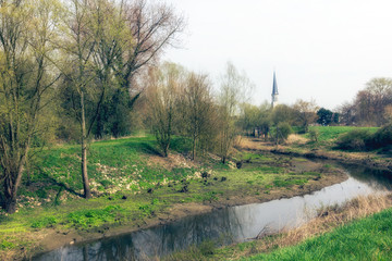 landscape with road and trees