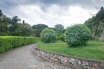 Stone Road in the Park.