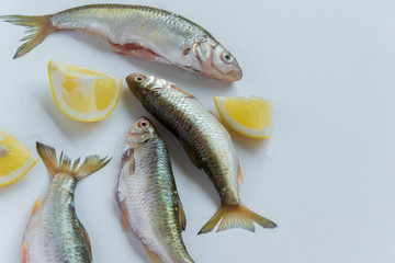 Top view of fresh catch uncooked fish and raw lemons on white background, healthy eating concept, space for text