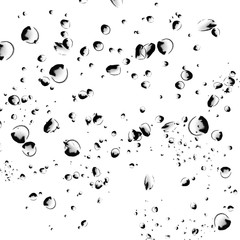 Isolated black water bubbles on white background. Rain water drops. Underwater oxygen. water,water