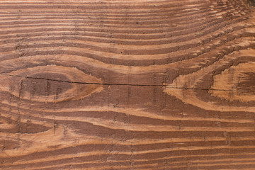 Dark wood background.