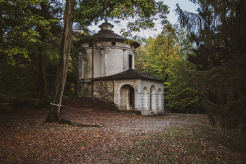Obraz premium old house in the forest