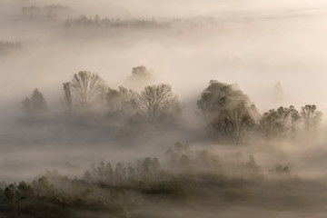 Panorama sulla foresta nebbiosa, Italia