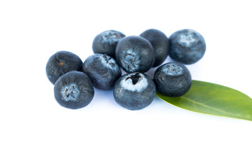Fresh blueberry on white background