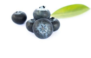 Fresh blueberry on white background