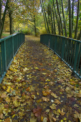 Bridge in autumn park
