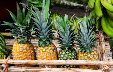 Pineapple on a market in Costa Rica at the Caribbean
