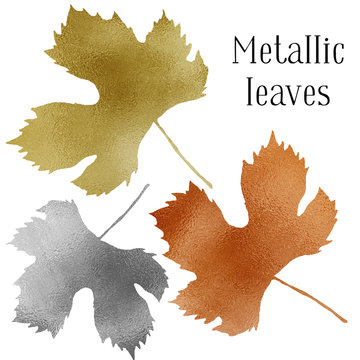 Autumn metallic gold copper silver leaves set isolated on white. Fall metallic paint grape vine leaves kit on white background.