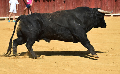 toro español