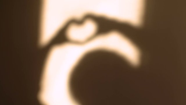 The girl in the reflection depicts the heart. The girl casts a shadow on the wall.