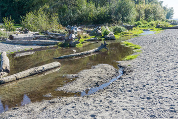 Seahurst Beach Stream