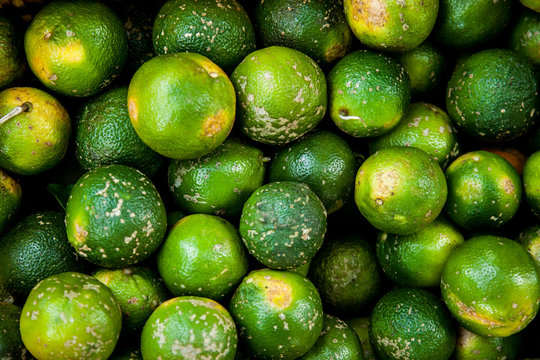 Lemons on a Market in Costa Rica at the Caribbean