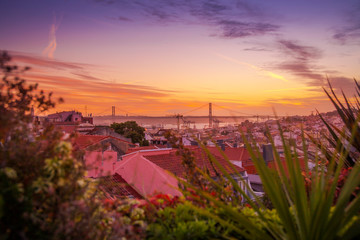 Beautiful sunset view on rooftops and ponte 25 de abril bridge with nature plants and flowers sky clouds city panorama background postcard from Lisbon, Portugal, Europe.