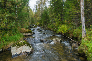 Obraz premium Fast stream