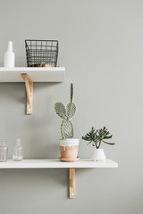 Pastel interior design concept with home plants.