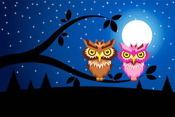 vector night wallpaper of owls