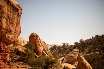 Fototapeta na wymiar Rocky Desert Trail
