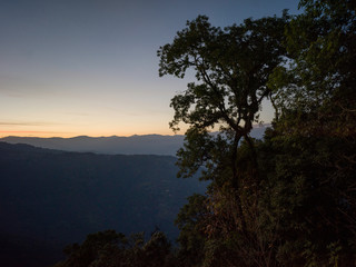 Scenic view of Tukdah Tea Garden, Darjeeling, West Bengal, India