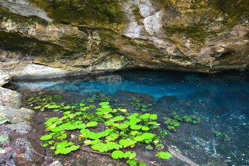 Cenote Dos Ojos Mexique - Dos Ojos Cenote Mexico