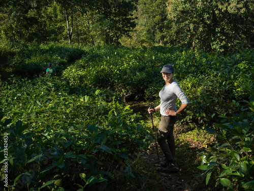 Woman Standing In A Tea Garden Darjeeling West Bengal - 