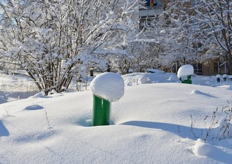 Beautiful snow-covered trees flaunt the winter sun, winter cold landscape