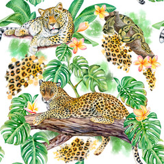 Seamless pattern with leopards or wild cats and tropical plants. Jungle with monstera and plumeria plants. Leopard sitting on a tree branch. Illustration. Watercolor.  Template. Hand drawing. Clipart.