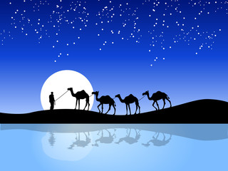 A vector night scene of camel and man