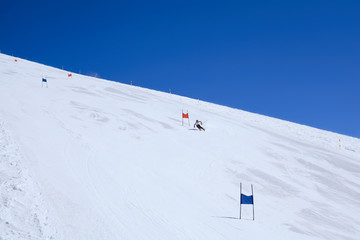 Skier in Children skiing slalom racing track with blue and red gates. Small ski race gates on a...